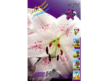 46,04���. ����� ���(�������� ���� �� 5 ��., ����������� ����� 1��.).jpg