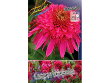 279,5���. �������� ������ ������(�������� ���� �� 1 ��., ����������� ����� 1��.).jpg