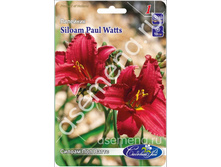 ������ ��� �����.jpg