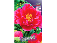 254,7���. ���� ����� ���(�������� ���� �� 1 ��., ����������� ����� 1��.).jpg