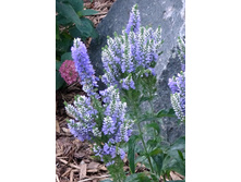 146,8���. �������� ����� ����(�������� ���� �� 1 ��., ����������� ����� 1��.)���16.jpg