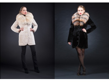 �����. 40-54