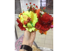 ����� �����