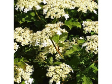 148���. ������ ������������ ���������.jpg