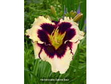 180���. �������� ����� �����(�������� ���� �� 1 ��., ����������� ����� 1��.).jpg