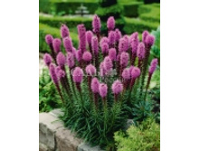 ��������� ������� �������� 0,1�� 9.jpg