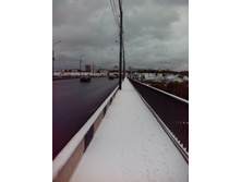 IMG 20151009 102416.jpg