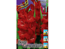 8,61���. ��������� ���� ��������(���������� ������ ������ ���������� �� 7 ��.).jpg