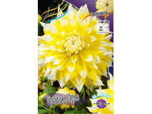 82���. �������� ����� ���(�������� ���� �� 1 ��., ����������� ����� 1��.).jpg