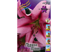 40,86���. ����� ����� ����(�������� ���� �� 5 ��., ����������� ����� 1��.).jpg