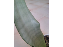 20151005 115218 HDR.jpg