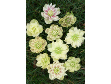 263���. �������� ������ ���������(�������� ���� �� 1 ��., ����������� ����� 1��.)���15.jpg