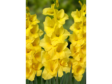 10,19���. ��������� ������(���������� ������ ������ ���������� �� 8 ��.)���16.jpg