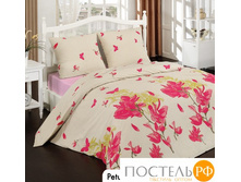 Classi alt42400 1122�.jpg