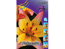 21,03���. ����� ��������(�������� ���� �� 7 ��., ����������� ����� 1��.).jpg