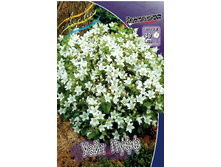 118,6���. ����������� ���� ����(�������� ���� �� 1 ��., ����������� ����� 1��.).jpg