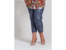 ����� 2502382.jpg