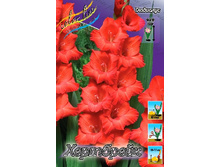 11,29���. ��������� ���������(���������� ������ ������ ���������� �� 8 ��.).jpg