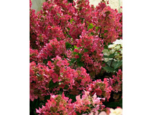 ��������� ��� ���� ����� �9-319�.jpg