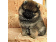 ������ �� �� ����