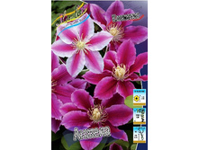 264,15���. �������� ������(�������� ���� �� 2 ��., ����������� ����� 1��.).jpg