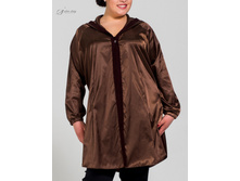 �������� 2518055.jpg