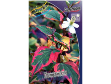 53,5���. ���������� ��������(�������� ���� �� 2 ��., ����������� ����� 1��.).jpg