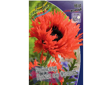 130,3���. ��� ������� ����� �� �����(�������� ���� �� 1 ��., ����������� ����� 1��.).jpg