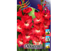 10,19���. ��������� �������(���������� ������ ������ ���������� �� 8 ��.).jpg