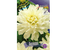 82���. �������� �����(�������� ���� �� 1 ��., ����������� ����� 1��.).jpg