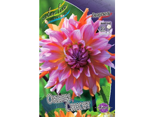 84,8���. �������� ����� ������(�������� ���� �� 1 ��., ����������� ����� 1��.).jpg