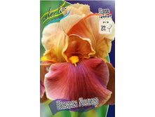 95,3���. ���� ���������� ����� �����(�������� ���� �� 2 ��., ����������� ����� 1��.).jpg