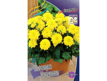 105,3���. �������� ������� �������(�������� ���� �� 1 ��., ����������� ����� 1��.).jpg