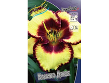 163,4���. �������� ������ ����(�������� ���� �� 1 ��., ����������� ����� 1��.).jpg