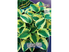 113,7���. ����� ���� ���(�������� ���� �� 1 ��., ����������� ����� 1��.).jpg