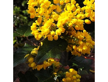 185���. ������� ������������� ������.jpg