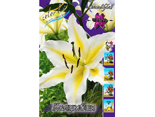 35,66���. ����� ��������(�������� ���� �� 5 ��., ����������� ����� 1��.).jpg