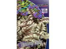 229,8���. ���������� ������ ����(�������� ���� �� 1 ��., ����������� ����� 1��.).jpg