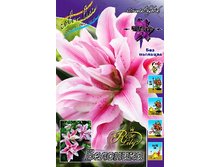 59���. ����� ROSELILY ��������(�������� ���� �� 5 ��., ����������� ����� 1��.).jpg