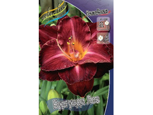 180���. �������� �������� ���(�������� ���� �� 1 ��., ����������� ����� 1��.).jpg