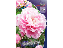 329,3���. ���� ������� ����(�������� ���� �� 1 ��., ����������� ����� 1��.).jpg