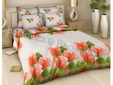 300 ������� ���2.jpg