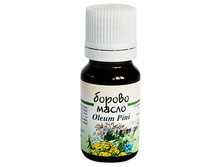 �������� �����