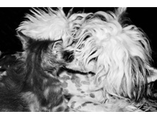 ��� � �����.jpg