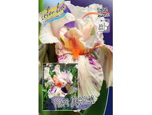 95,3���. ���� ���������� ��� ����(�������� ���� �� 2 ��., ����������� ����� 1��.).jpg