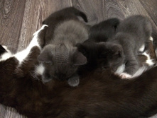 2015-09-11 17.11.31.jpg