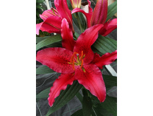 29,16���. ����� ��� �������(�������� ���� �� 7 ��., ����������� ����� 1��.)���15.jpg