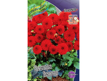 94���. �������� ������� ������(�������� ���� �� 1 ��., ����������� ����� 1��.).jpg