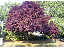 162���. ����� ������������� (�����) ����� �������16.jpg