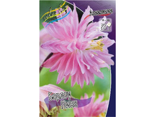 36,95���. ��������� ������ ����(�������� ���� �� 2 ��., ����������� ����� 1��.).jpg